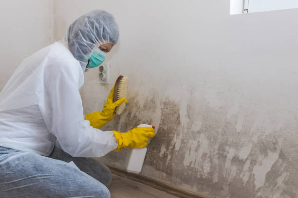 Best Residential Mold Removal  in Grottoes, VA