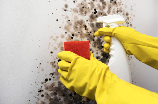 Water Damage Restoration in Grottoes, VA