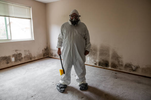 Professional Mold Removal in Grottoes, VA